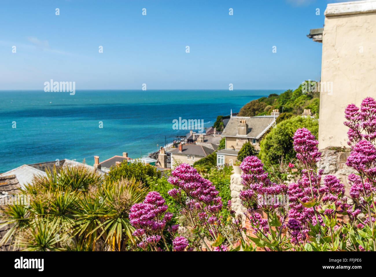 Blick über Ventnor, Isle of Wight, Südengland Stockfoto