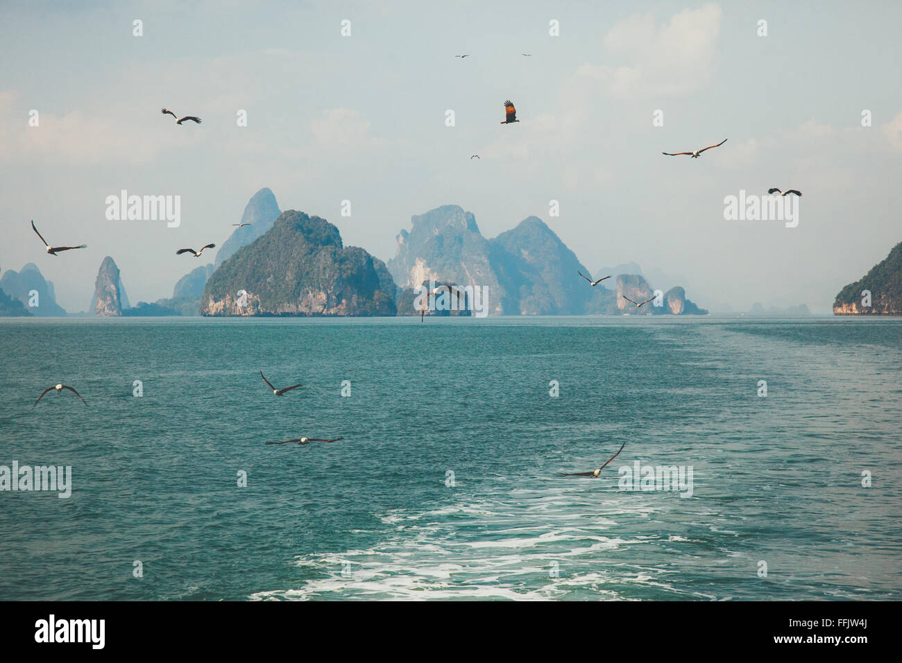 Vögel auf Phang Nga Inseln Stockfoto