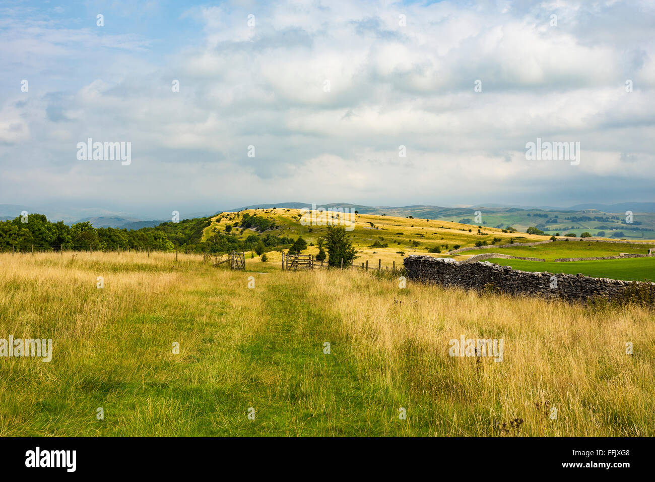 Mauer und Zaun auf Cunswick fiel, South Lakeland District, Cumbria, England, Vereinigtes Königreich Stockfoto