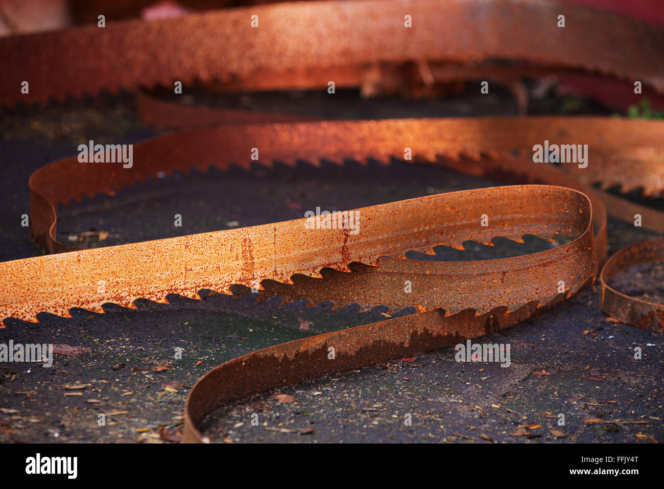 Eine rostige alte Sägeblatt aus einer industriellen Bandsäge. Diese high-Speed-Klinge wurde zum Schneiden von Holz verwendet. Stockfoto