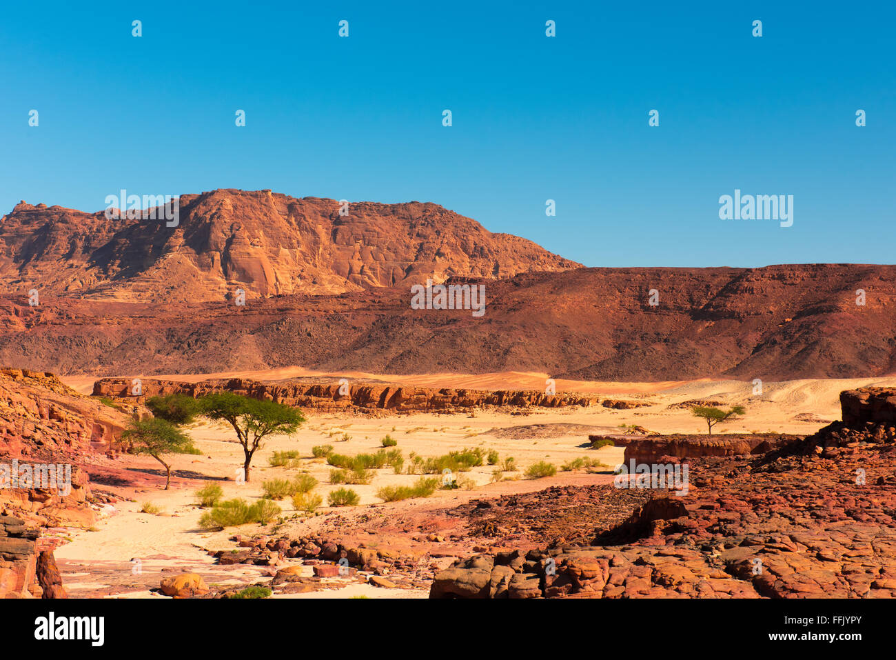 Sinai Wüste Landschaft Stockfoto