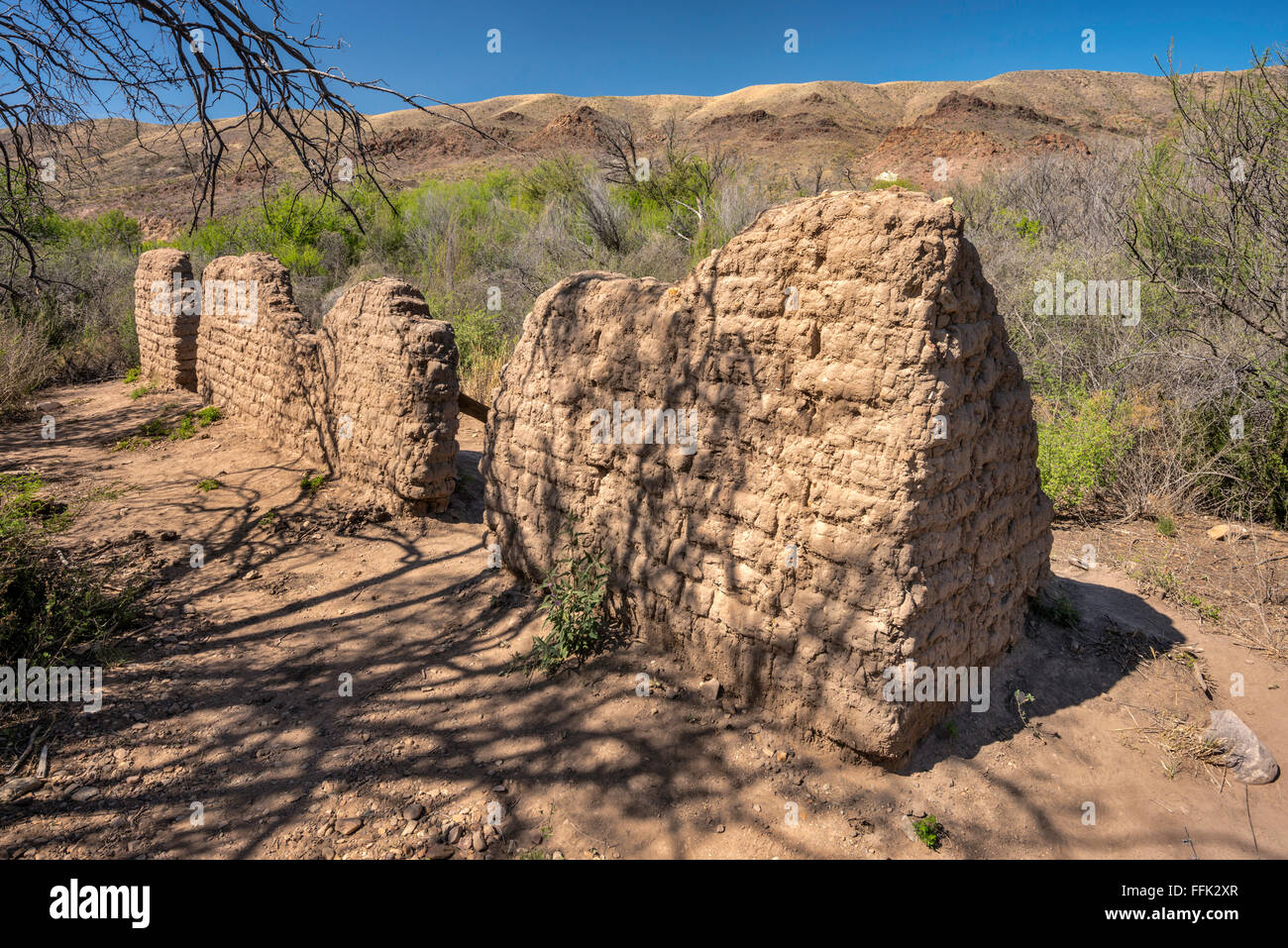 Ruinen von Adobe Wände von Sam Nail Ranch, Ross Maxwell Scenic Drive, Chihuahua-Wüste, Big Bend National Park, Texas, USA Stockfoto