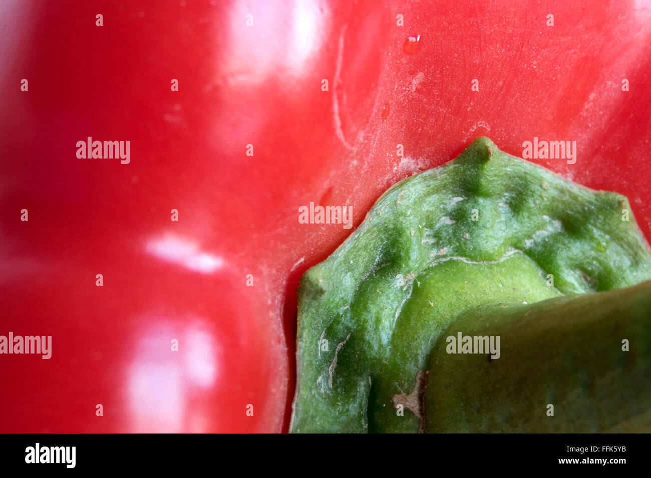 Nahaufnahme von roten Paprika und grünem Stiel Stockfoto