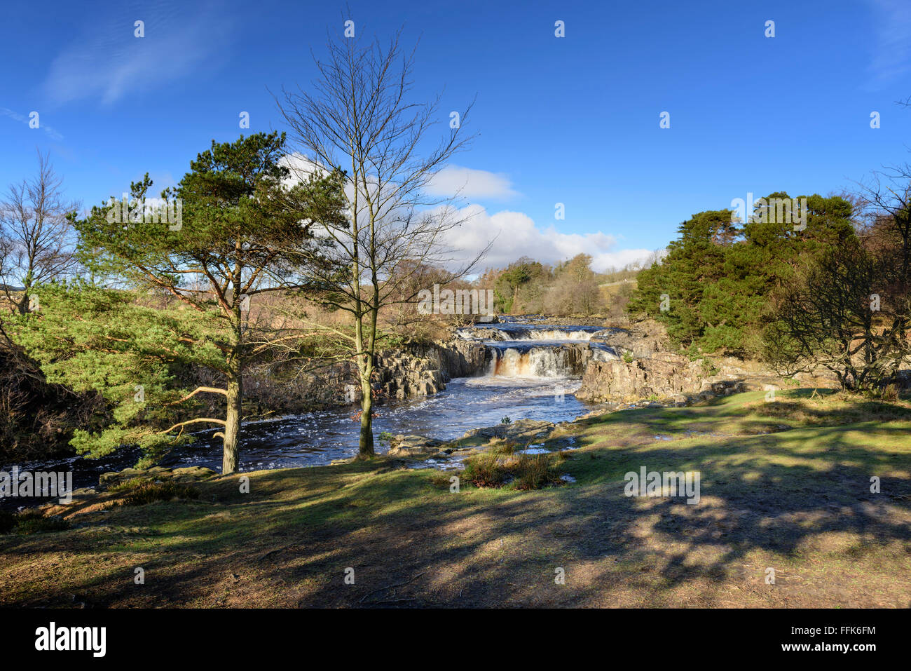 Low Force Wasserfall des Flusses Tees im Teesdale Stockfoto