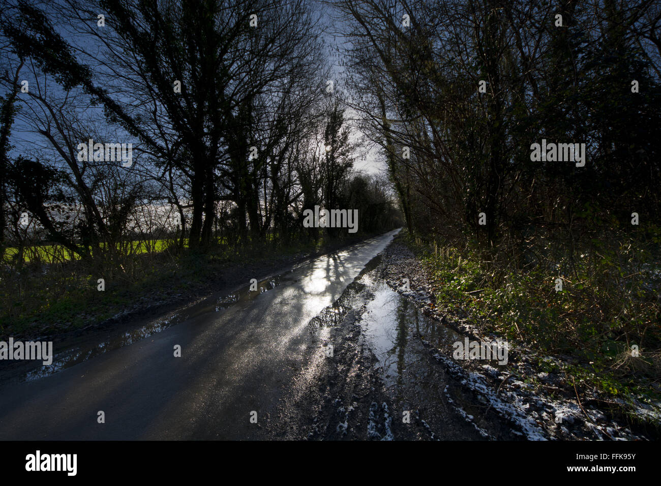 nassen Frost gerade Landstraße Stockfoto