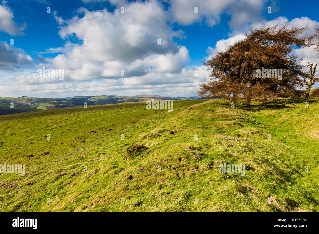 Offa es Dyke Erd- und National Trail in der Nähe von Panpunton Hill, Shropshire, in der Nähe der englischen/walisischen Grenze bei Knighton, Powys, UK Stockfoto