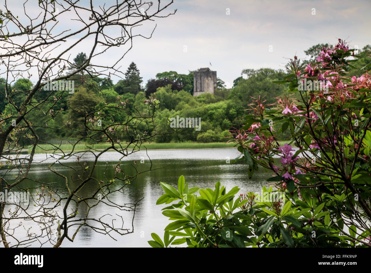 Loch, Mugdock Country Park, Milngavie, Glasgow, Schottland Stockfoto