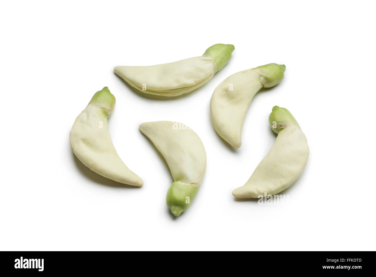 Frische Dok Kae essbare Blumen auf weißem Hintergrund Stockfoto