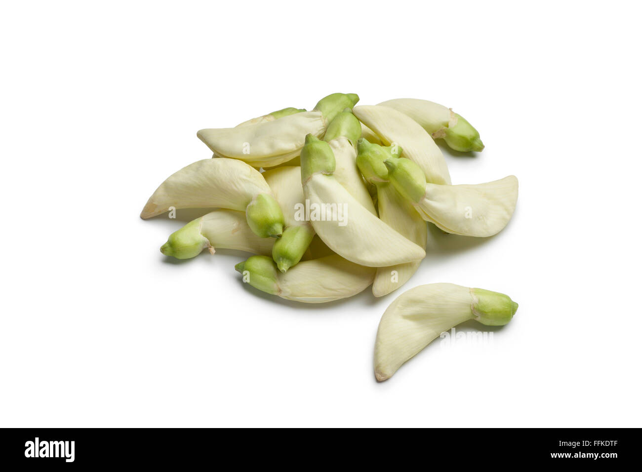 Sesbania Grandiflora essbare Blumen auf weißem Hintergrund Stockfoto