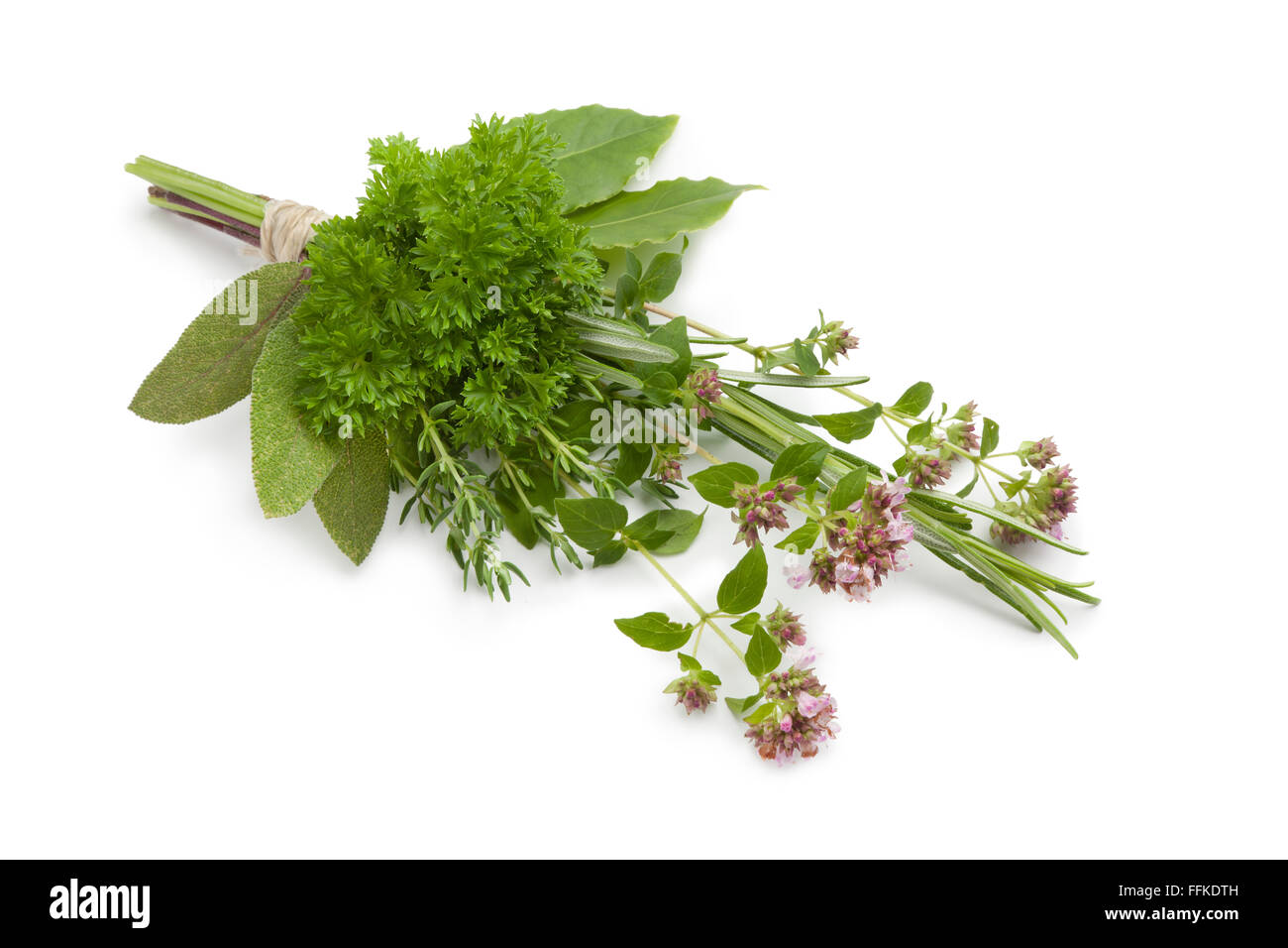 Frisches Bouquet Garni auf weißem Hintergrund Stockfoto