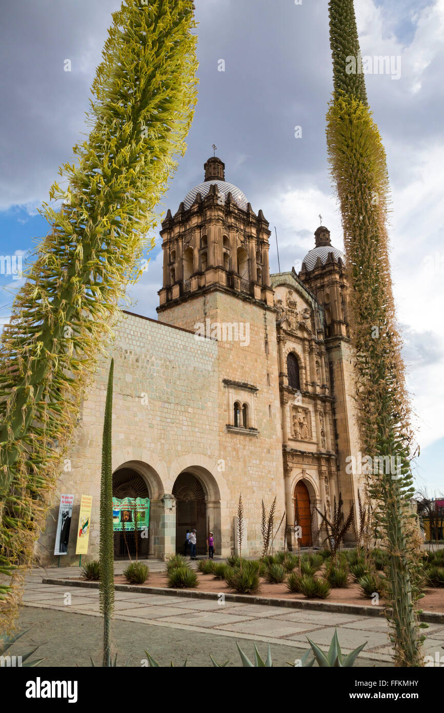 Oaxaca, Mexiko - katholische Kirche Santo Domingo de Guzmán, umrahmt von blühenden Agaven. Stockfoto
