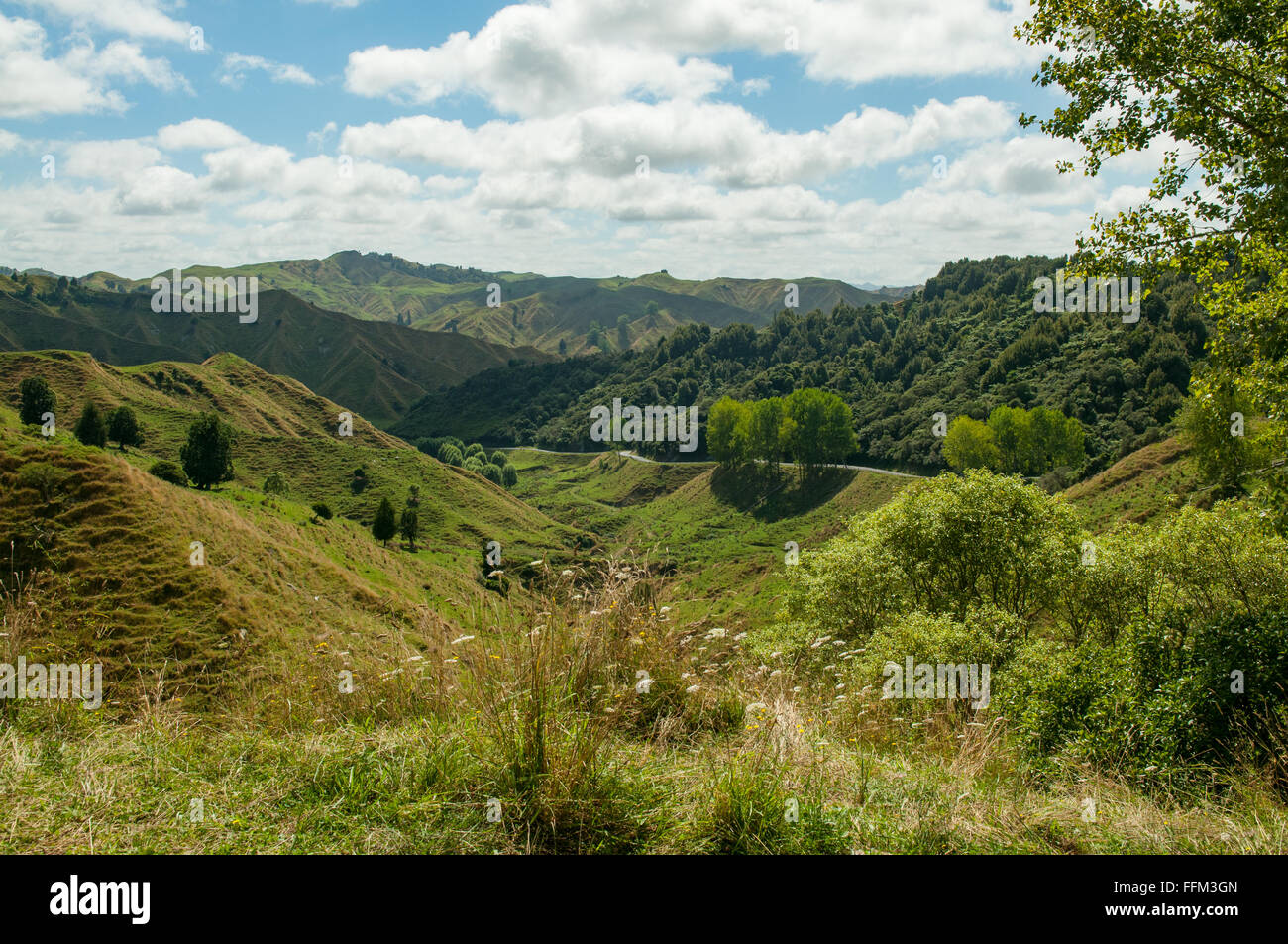 Blick auf vergessen World Highway im King Country, New Zealand Stockfoto