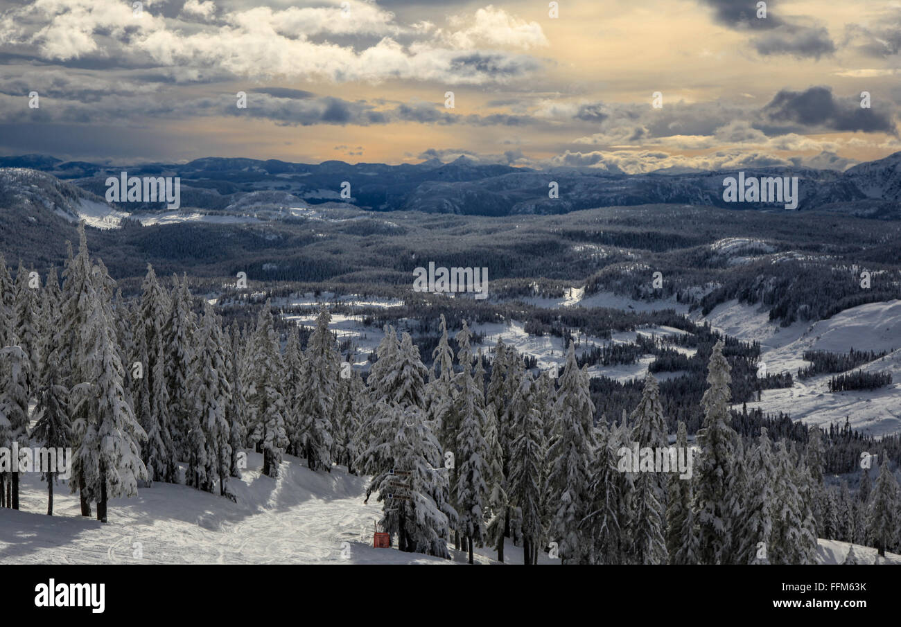 Dabei die herrliche Aussicht auf den Mount Washington auf Vancouver Island, British Columbia. Stockfoto