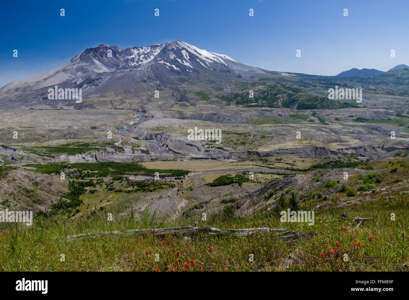 Ansicht des Mount St. Helens zeigt die Überreste des Berges nach dem Ausbruch von 1980. Stockfoto