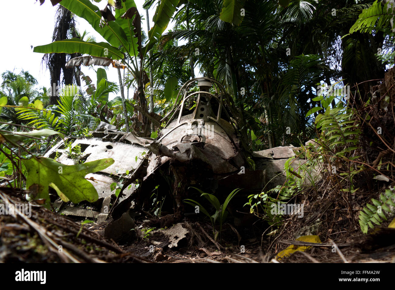 Zero, ein japanisches Kampfflugzeug, wie ein Wrack im Dschungel. Überreste der Schlacht von Peleliu (Palau 1944), die im Zweiten Weltkrieg zwischen den USA und Japan gekämpft wurde Stockfoto