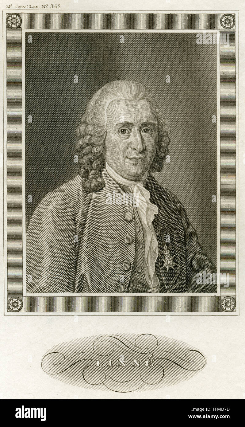 Carl von Linne, geboren 1707 in Rashult, gestorben 1778 in Uppsala Schwedische Naturwissenschaftler, Stahlstich von Barth um 1850, aus einem Buch/Zeitung des 19. Jahrhunderts, Editorial-Use - Nur Stockfoto