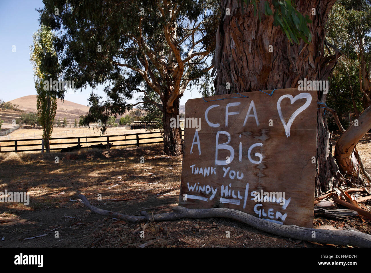 Australische bush Brandschaden, australische Bush fire Nachwirkungen, Post australische Bush Feuer, Stockfoto