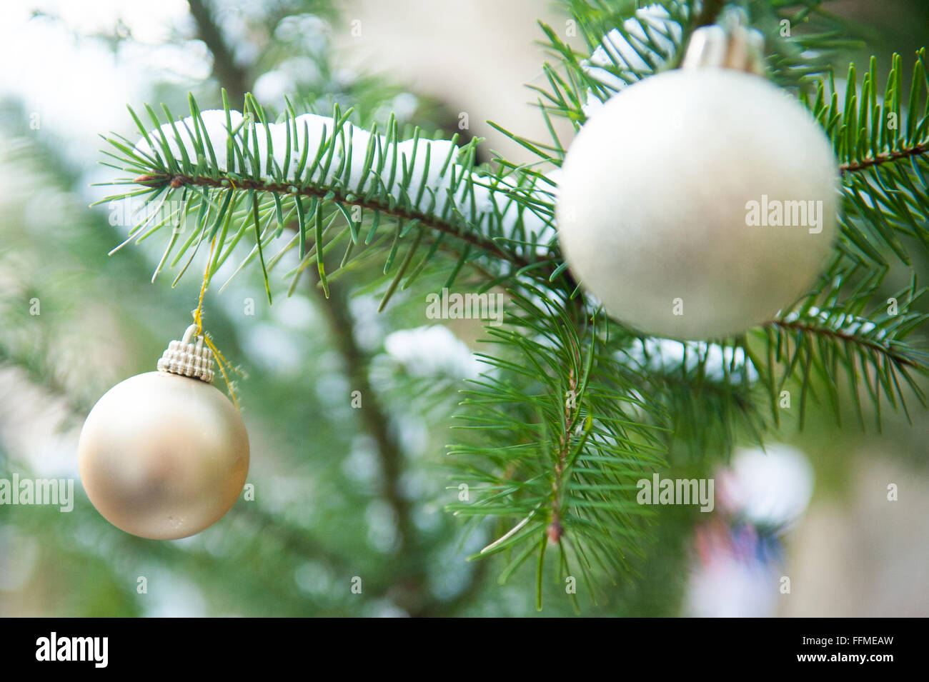 Gold und Silber Kugeln am Weihnachtsbaum im Freien. Stockfoto