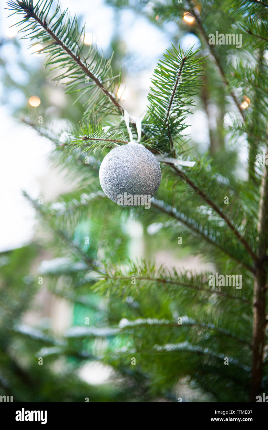 Silberne Kugel am Weihnachtsbaum im Freien. Stockfoto