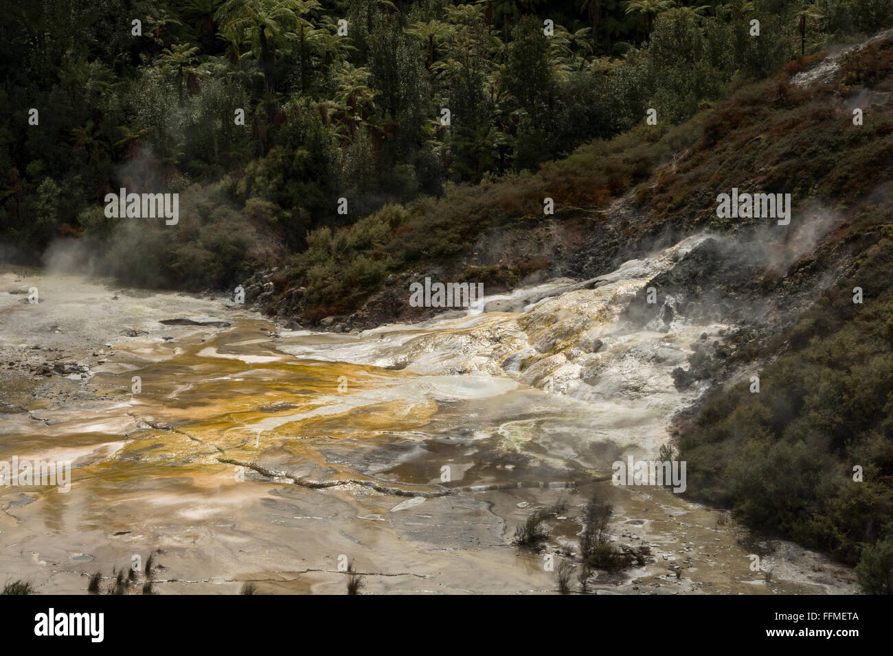 Palette des Künstlers in Orakei Korako hat cremeweiße Sinter aus Kieselsäure und orange farbigen Sinter von Antimonverbindungen gebildet. Stockfoto