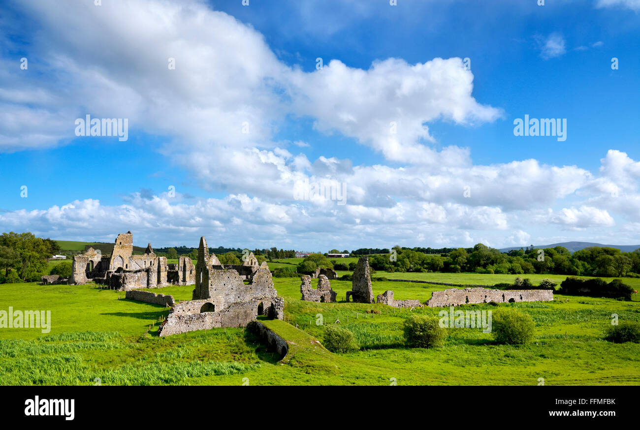 Athassel Abbey Golden; Tipperary, Irland Stockfoto