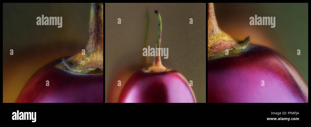 Tamarillo Triptychon.  Drei Aspekte der Tamarillo Frucht, mit seiner warmen, satten Farben.  Interessante Überlegungen. Stockfoto