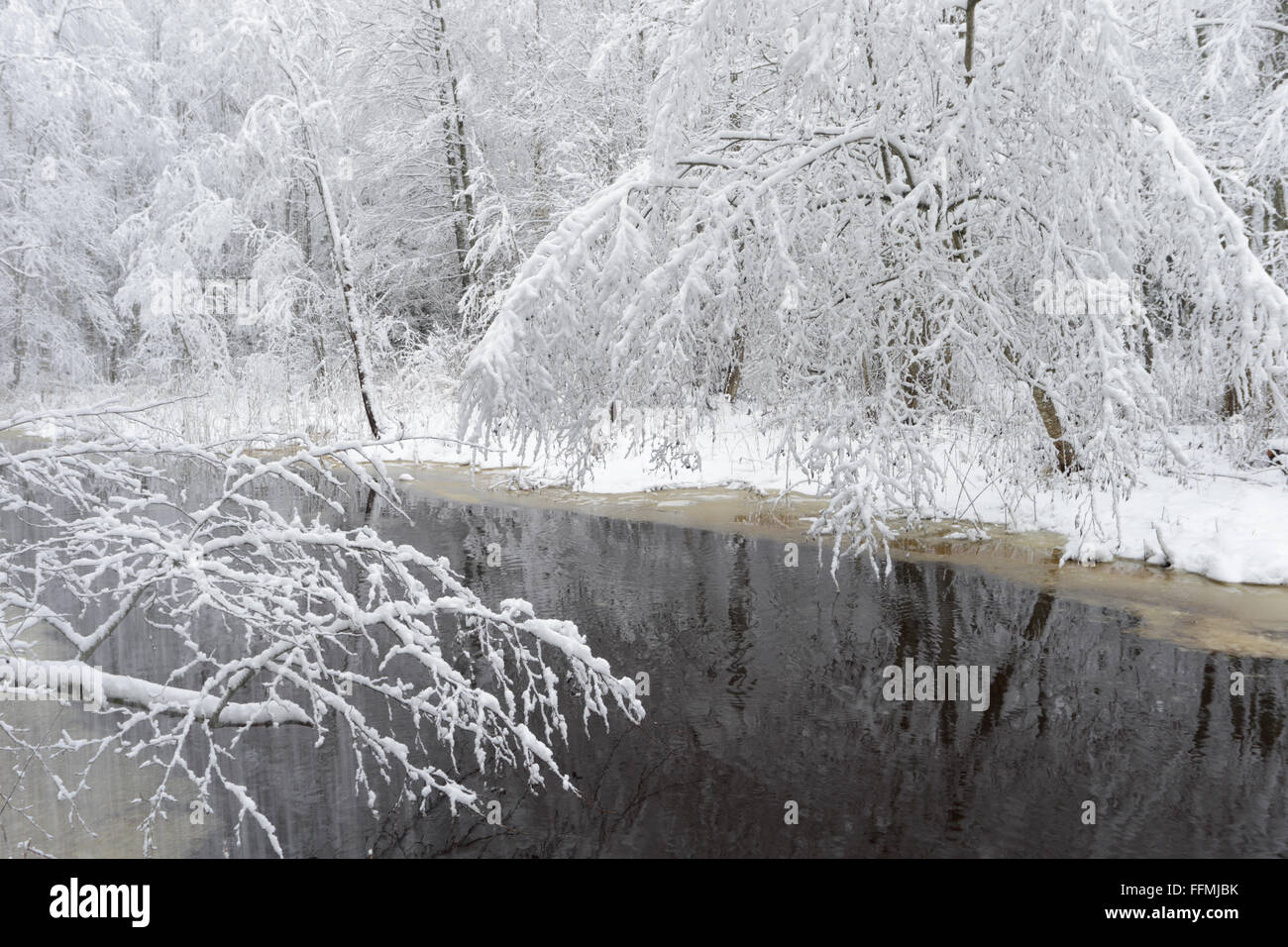 Schneebedeckte Bäume am Fluss in Wunderland Winterlandschaft. Estland, Europa Stockfoto