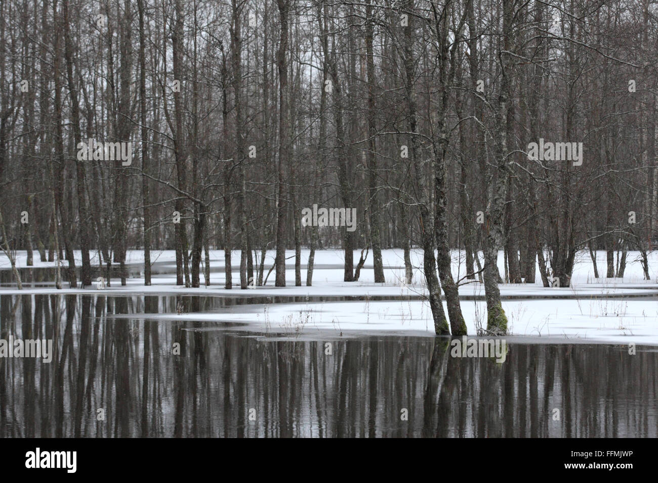 Fünfte Jahreszeit, Überschwemmungen in Soomaa National Park, Europa Stockfoto