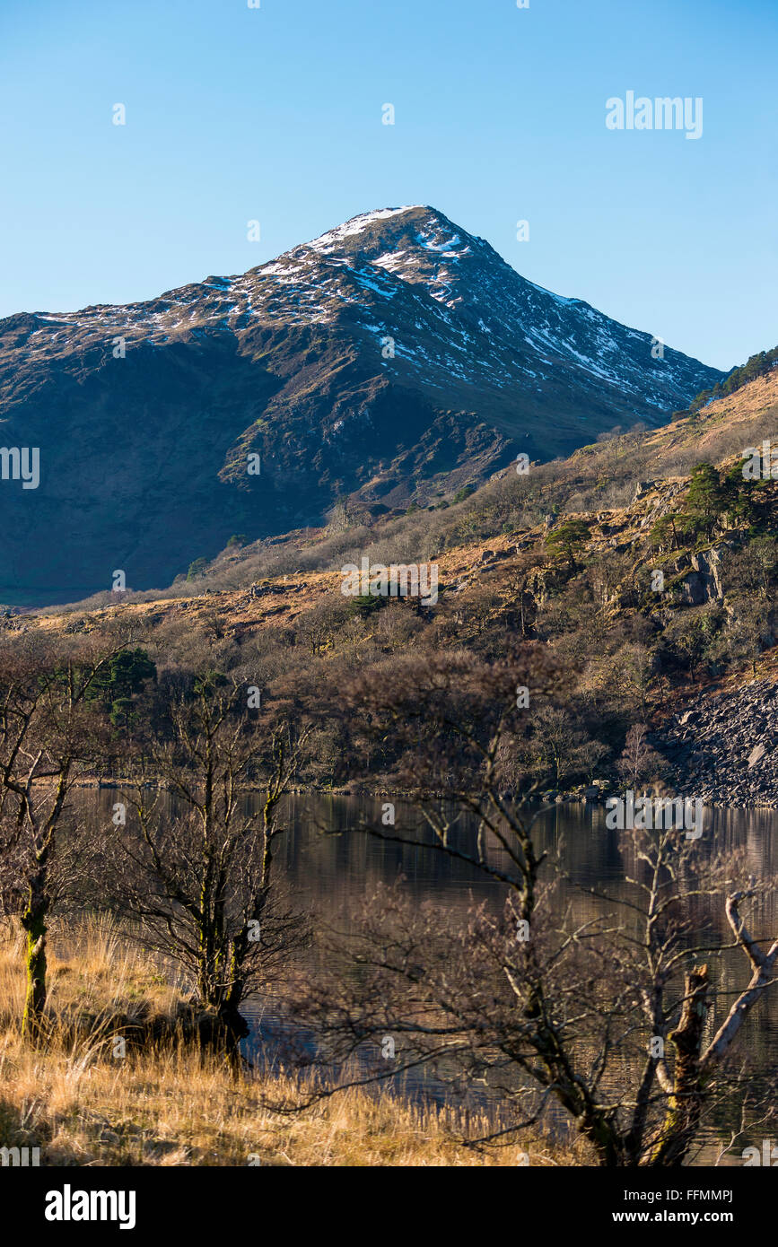 Llyn Gwynant See Snowdonia Gwynedd North Wales Uk Stockfoto