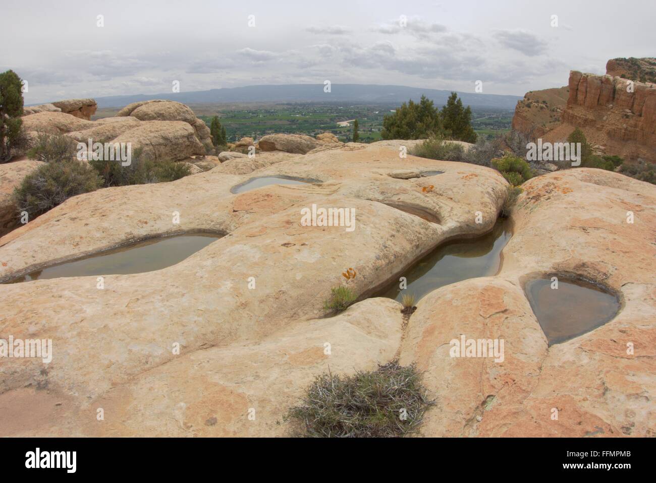 Schlaglöcher auf der Buch-Klippen nach einem nassen Frühling in Colorado Grand Valley Stockfoto