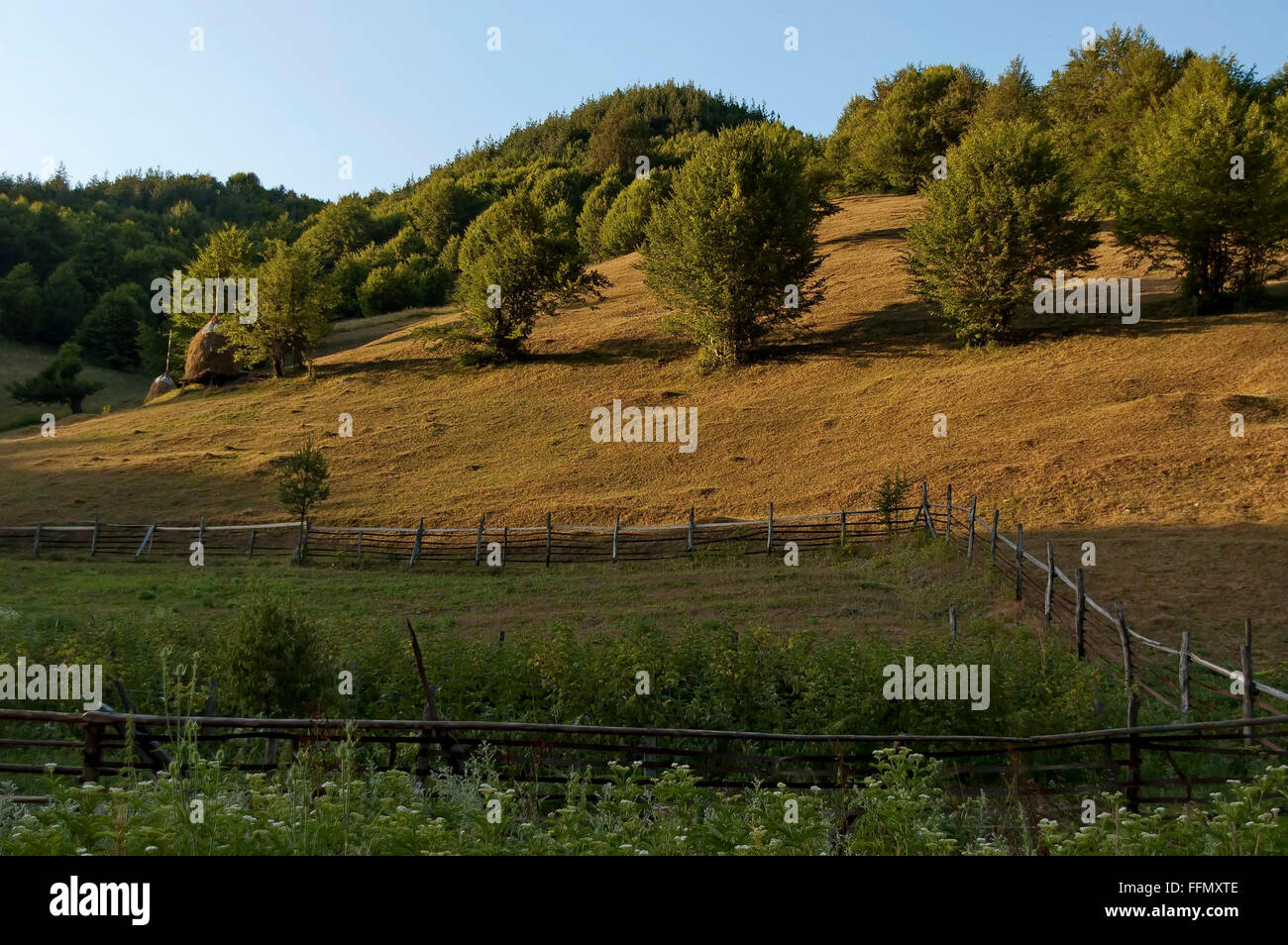 Schönen sonnigen Morgen Berglandschaft, Vasilyovo, Teteven, Bulgarien Stockfoto