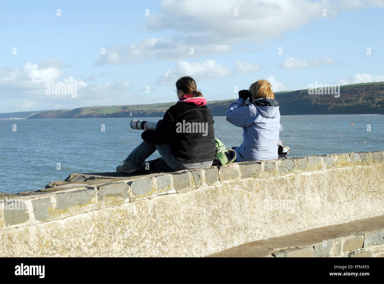 Zwei junge Frauen auf der Suche nach marine Tierwelt in Newquay, Westwales. Stockfoto