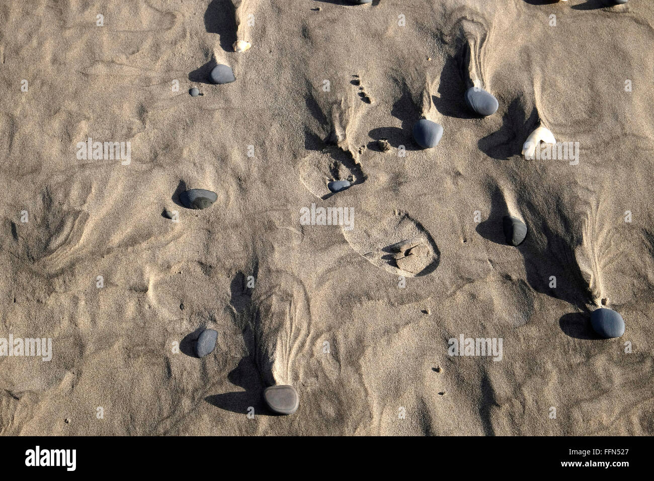 Präsenz in den Wind geblasen Sand, Ynys Las, Borth, Westwales. Stockfoto