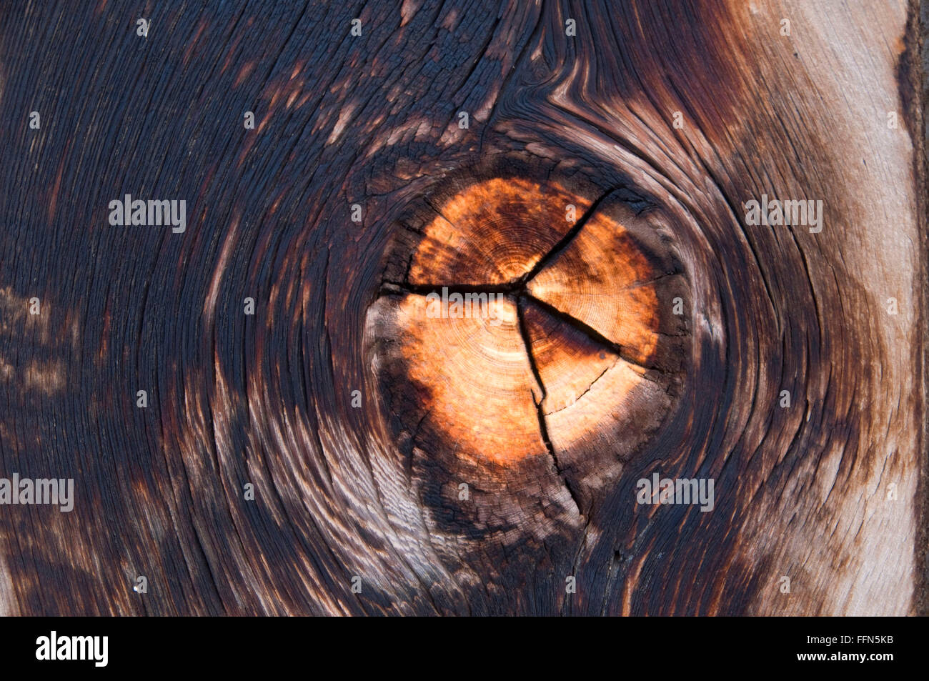 Scheune Holz Knoten, Juniper Hills zu bewahren, Oregon Stockfoto