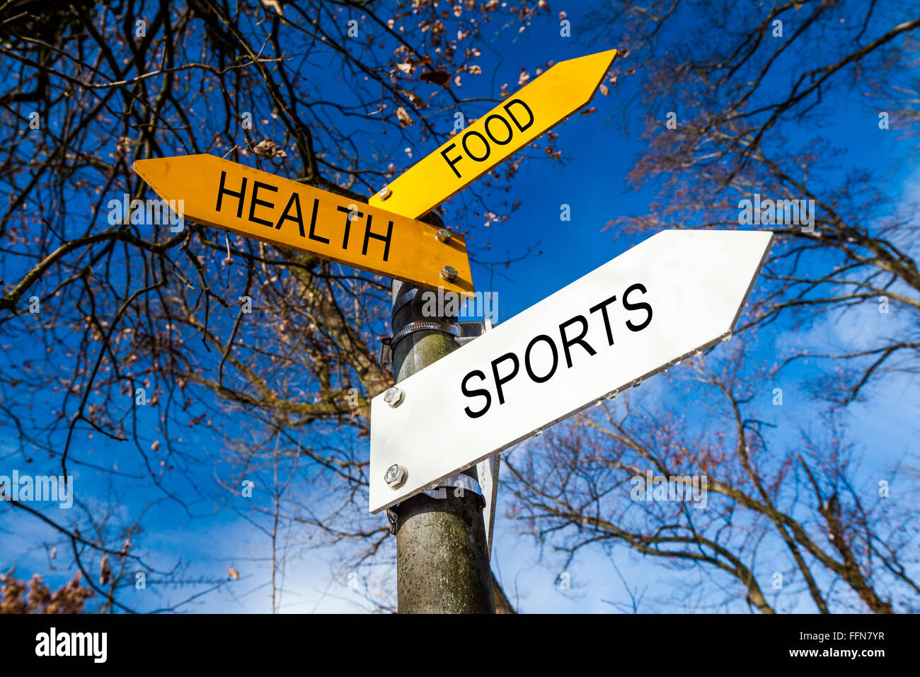 Gelbe und weiße Entscheidung Zeichen auf einem Baum Stockfoto