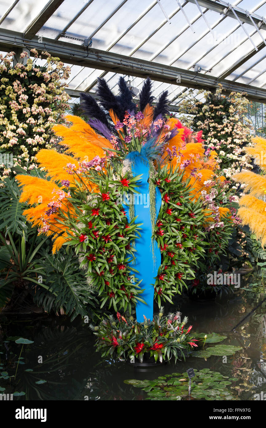 Orchid Festival Display in The Princes of Wales Conservatory in botanischen Gärten von Kew. London, UK Stockfoto