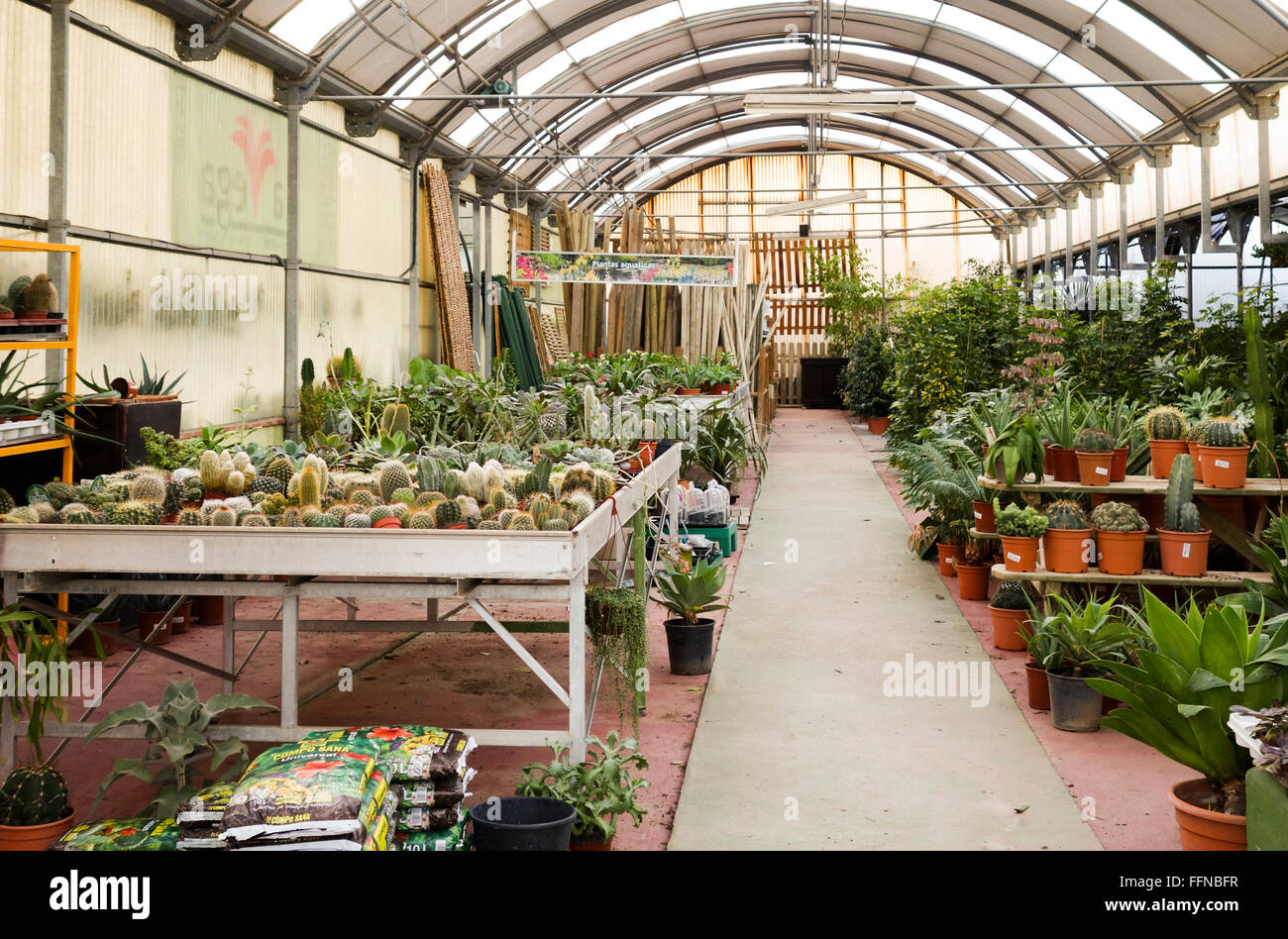 Gewächshaus im Gartencenter, Einzelhandel Gärtnerei Pflanzen bietet. Blumen. Spanien. Stockfoto