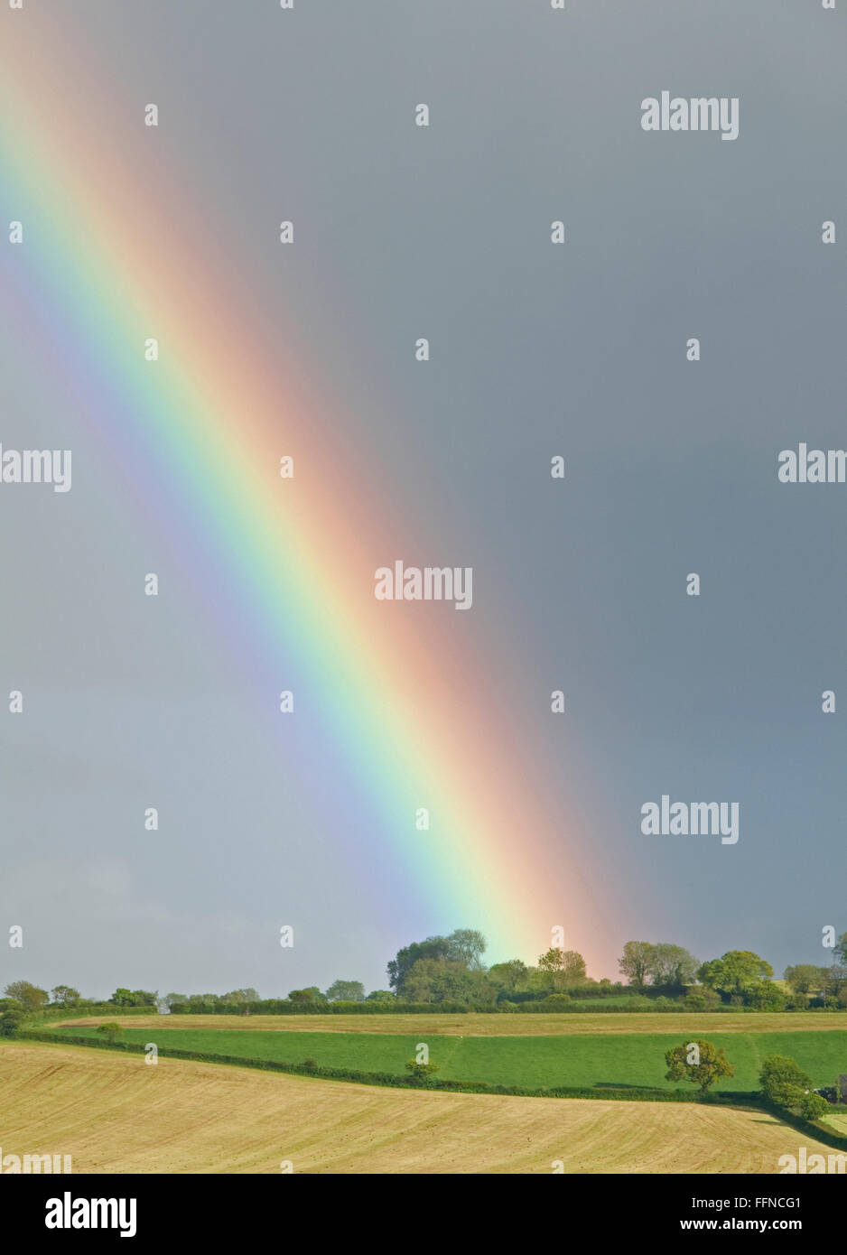 Markante Regenbogen gesehen von Bradninch, Devon Stockfoto