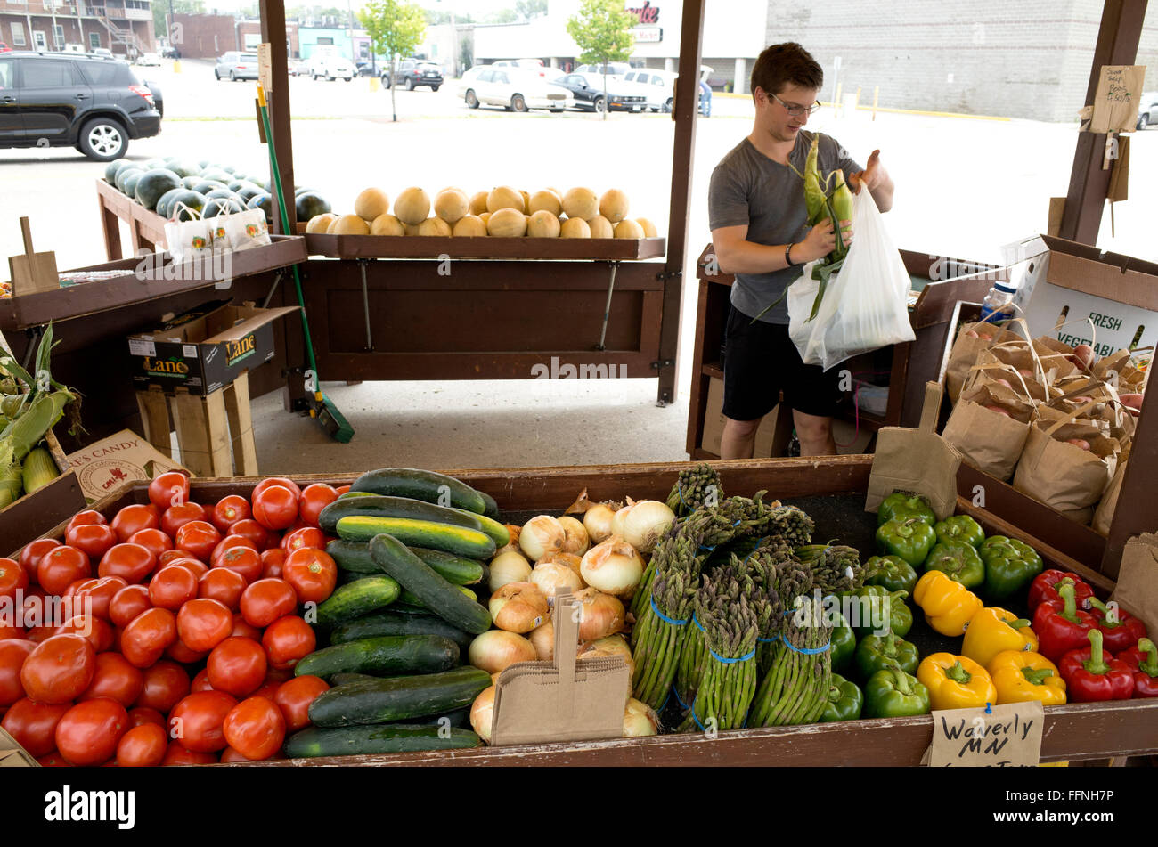 Sachbearbeiter Verpackung Ähren auf seine Open-Air-Obst und Gemüse stehen. Fergus Falls Minnesota MN USA Stockfoto