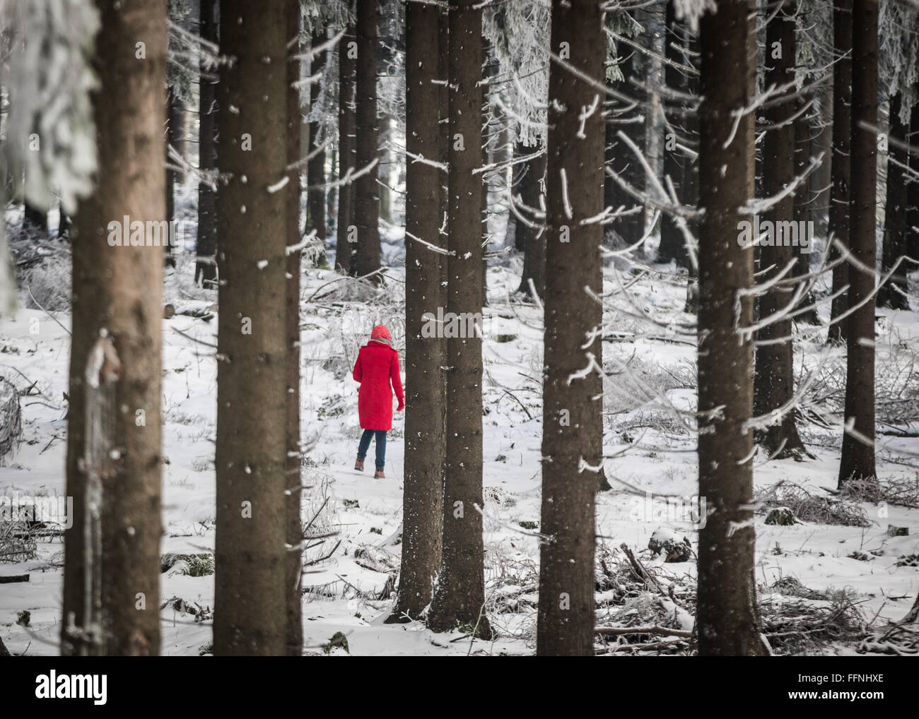 Eine Frau in einem roten Mantel zu Fuß durch den winterlichen Wald auf den großen Feldberg, Deutschland, 16. Februar 2016. FOTO: FRANK RUMPENHORST/DPA Stockfoto