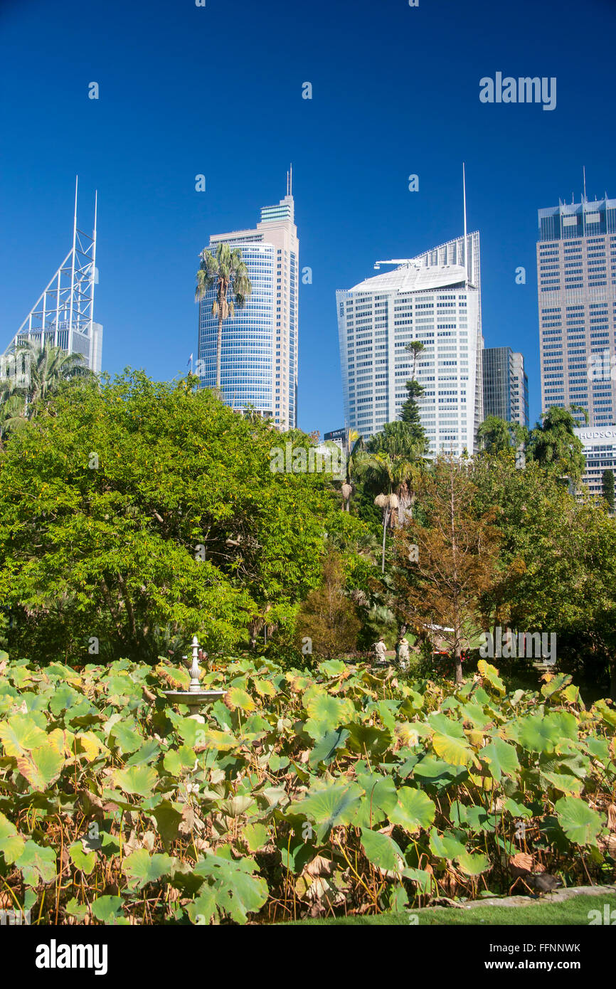Königlicher Botanischer Garten Gärten der Domain Sydney New South Wales New South Wales Australien Stockfoto