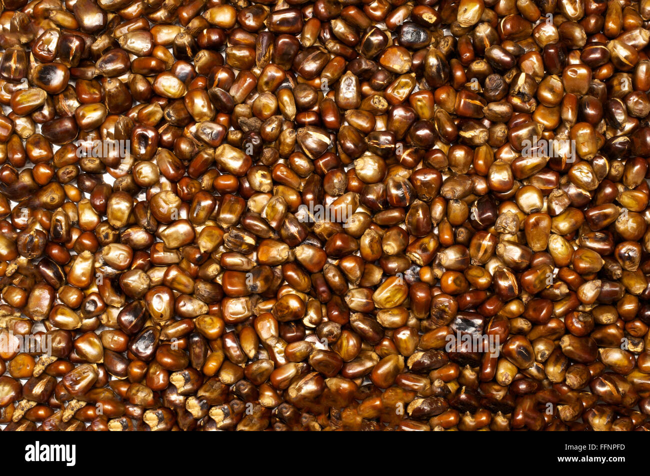 Braun geröstet Maissamen Hintergrund hautnah Stockfoto