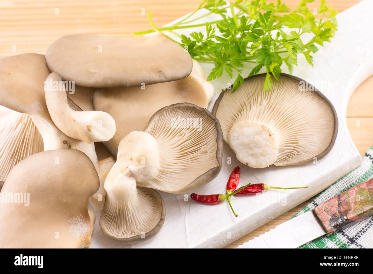 Handvoll frische Austernpilze auf einem Tablett Stockfoto