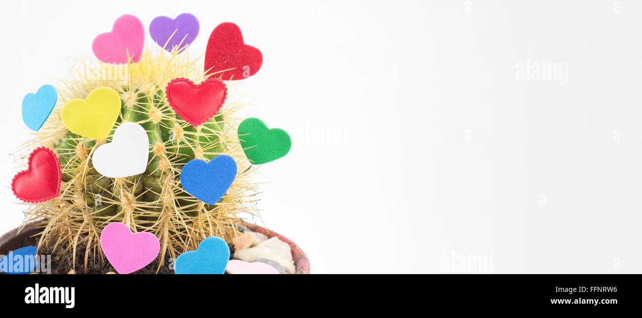 Eingemachte Kaktus mit Herz geformten Aufkleber breite banner Stockfoto