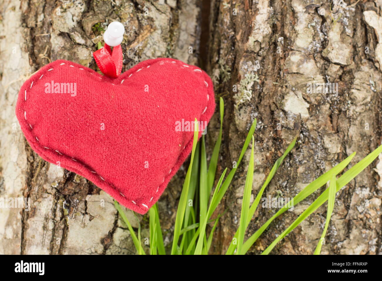 rotes Herz auf einer Baumrinde mit grass Stockfoto