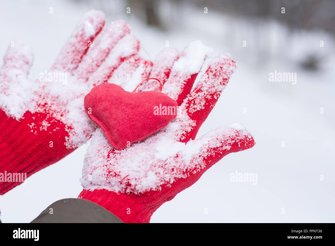 rote Handschuhe bedeckt mit Schnee hält ein Herz im freien Stockfoto