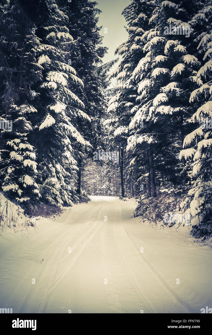 Winterlandschaft. Straße bedeckt im Schnee in dichten Wald. Stockfoto