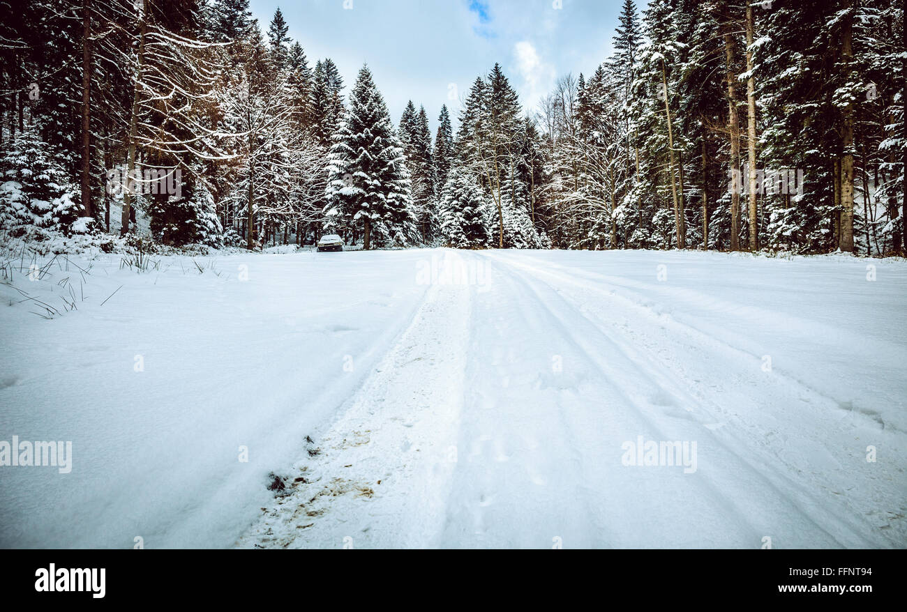 Winterlandschaft. Straße bedeckt im Schnee in dichten Wald. Stockfoto