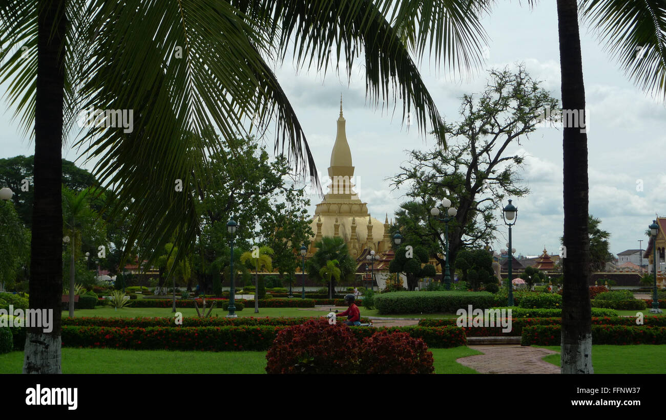 Blick durch die Bäume der große Stupa in Vientiane, Laos Stockfoto