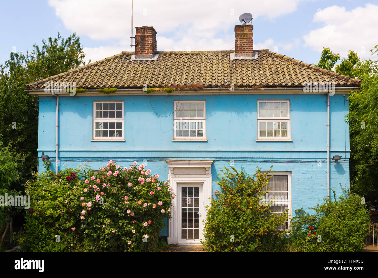 Blaue Land Haus mit weißen Fenstern von einem üppigen Garten und Rosen auf der vorderen Tür umgeben. Stockfoto